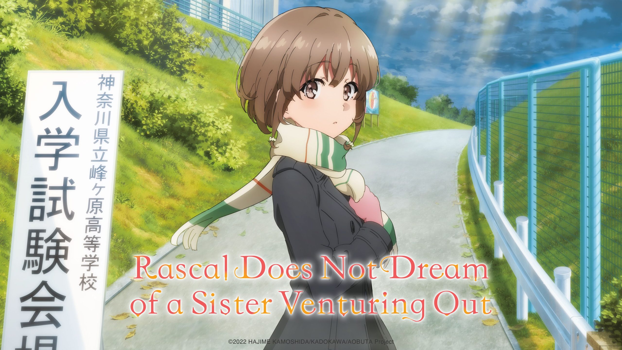 Rascal Does Not Dream of a Sister Venturing Out