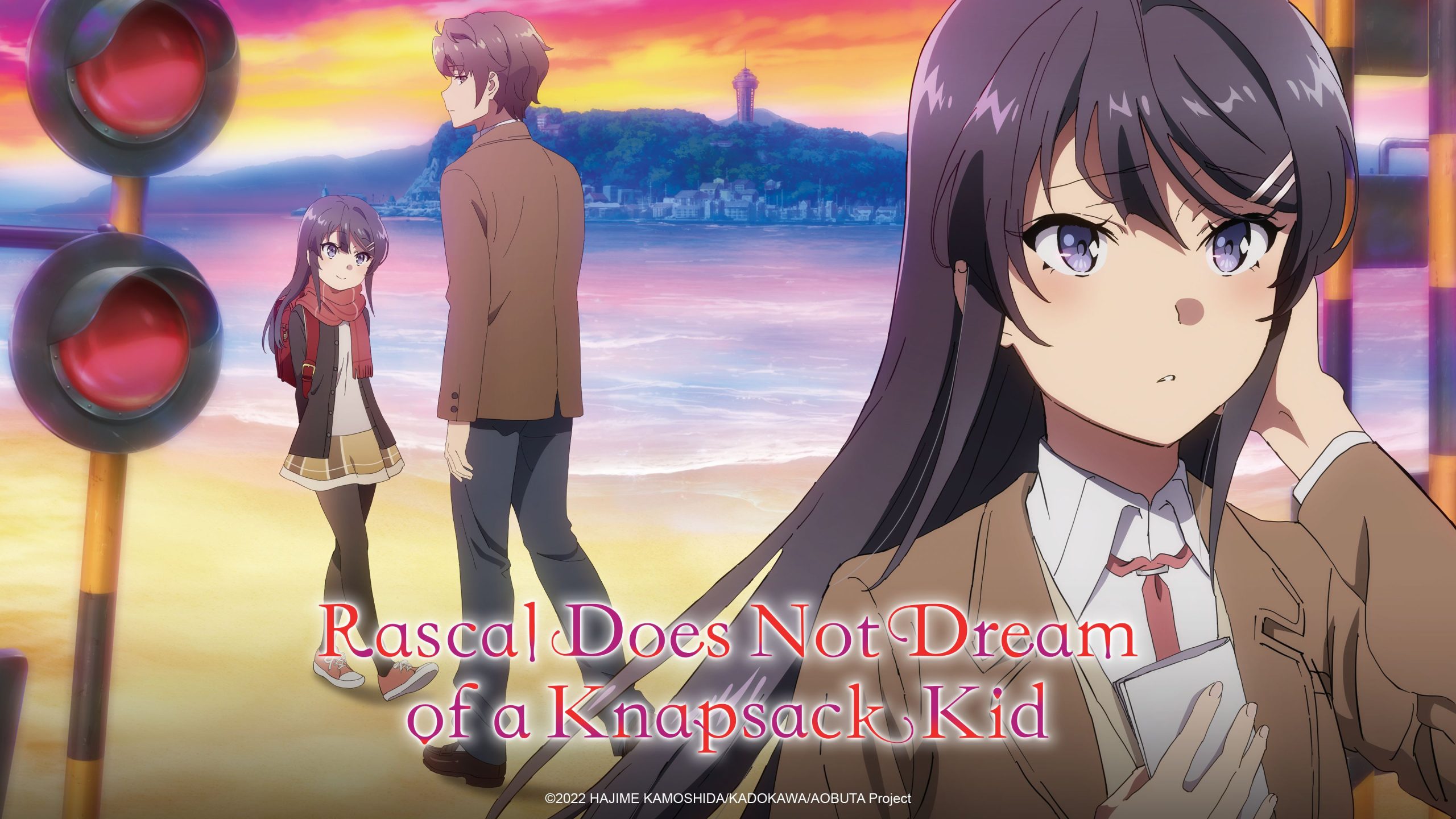 Rascal Does Not Dream of a Knapsack Kid